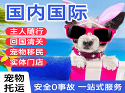 路桥航空托运国际宠物托运 【国